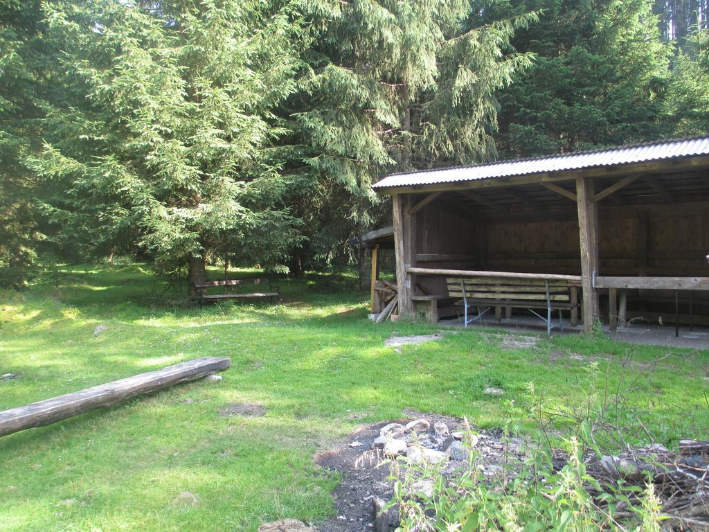Schwarzenbacher Lungotz Room photo